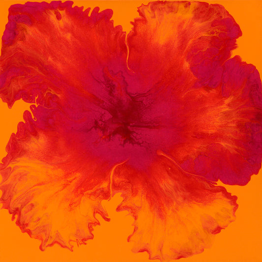 Bright Orange Hibiscus